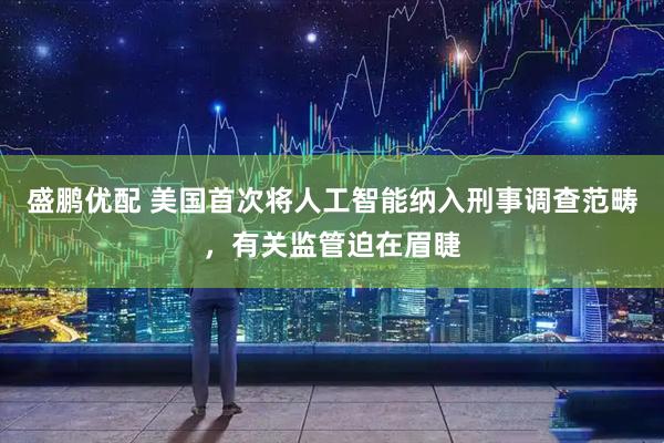 盛鹏优配 美国首次将人工智能纳入刑事调查范畴，有关监管迫在眉睫
