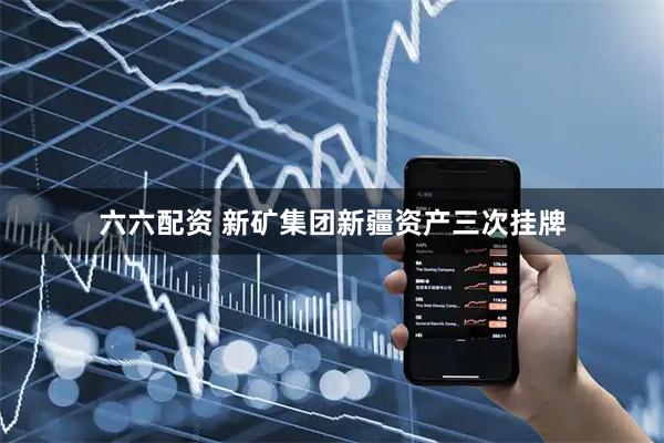 六六配资 新矿集团新疆资产三次挂牌