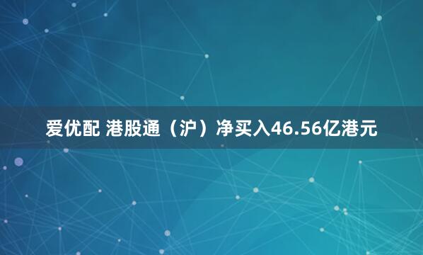 爱优配 港股通（沪）净买入46.56亿港元